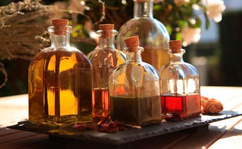 Elaboracion de aceites vegetales