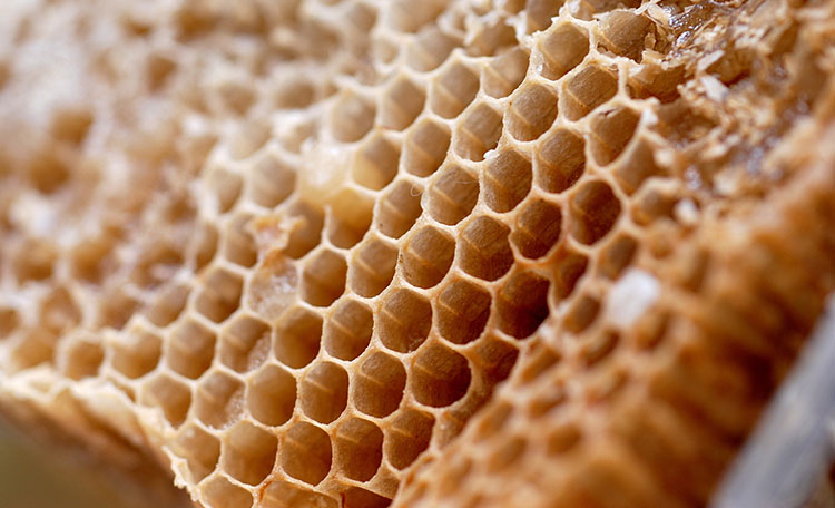 Cómo usar la cera de abeja para depilar