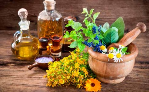 Plantas aromáticas con propiedades curativas